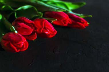 Metin için yer ile karanlık bir arka plan kırmızı lale satır. Anneler günü ya da diğer kutlama için Festival çiçek arka plan