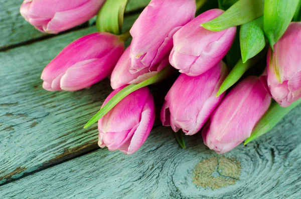 Fila de tulipanes rosados sobre un fondo azul con espacio para el texto. Fondo de flores festivas para un Día de las Madres u otra celebración . — Foto de Stock
