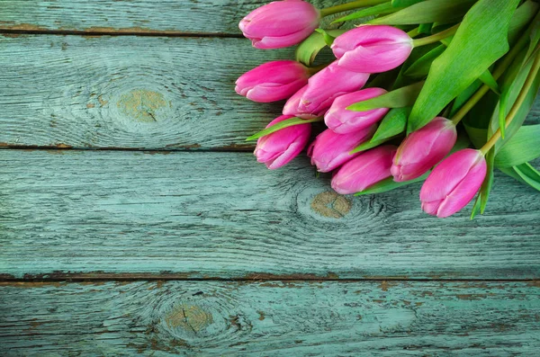 Fila de tulipanes rosados sobre un fondo azul con espacio para el texto. Fondo de flores festivas para un Día de las Madres u otra celebración . — Foto de Stock