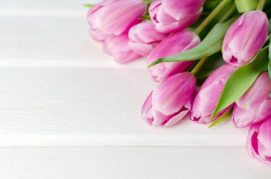 Bir beyaz tahta arka plan ile metin için yer Pembe Lale satır. Anneler günü ya da diğer kutlama için Festival çiçek arka plan