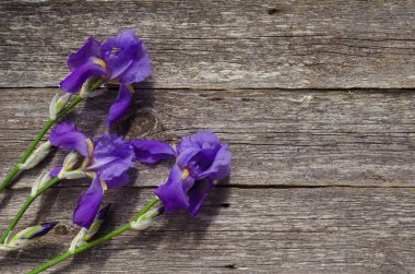 Ahşap arka planda irises. Bir polis ile mor irises Buket