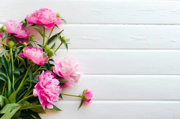 Roze pioen bloemen op witte houten tafel. Womans dag of bruiloft achtergrond. — Stockfoto