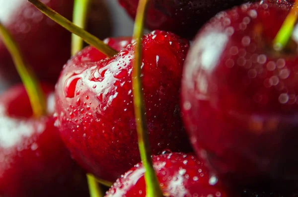 Nær ferske kirsebærbær med vanndråper. – stockfoto