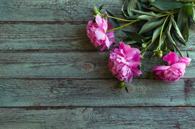 Mavi ahşap masa üzerinde pembe şakayık çiçekler. kadın gün veya düğün arka plan.