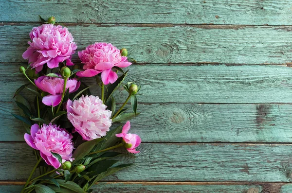 Flores de peonía rosa sobre mesa de madera azul. día de las mujeres o fondo de la boda . — Foto de Stock