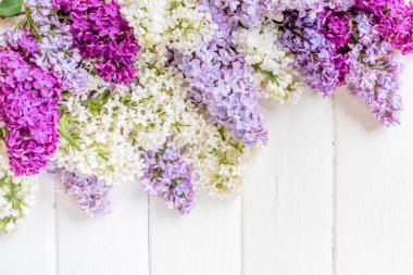 Beyaz ahşap arka planda, kopyalanmış leylak çiçekleri dalı.