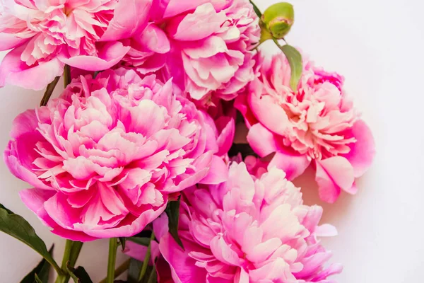 Bovenaanzicht van roze pioenroos bloemen met kopieerruimte. Bloemen achtergrond. — Stockfoto