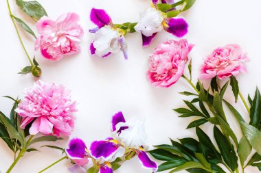 Fotokopi alanı olan pembe şakayık çiçeklerinin üst görüntüsü. Metin için boşluk.