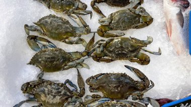 Taze yengeçler, pişirmeye hazır, deniz ürünleri pazarında buzda..