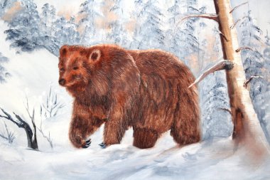 Karlı Ormanda Yürüyen Büyük Ayı