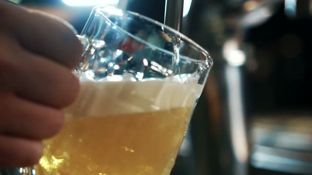 Le barman remplit le verre avec de la bière dans un bar branché à l'intérieur . — Video