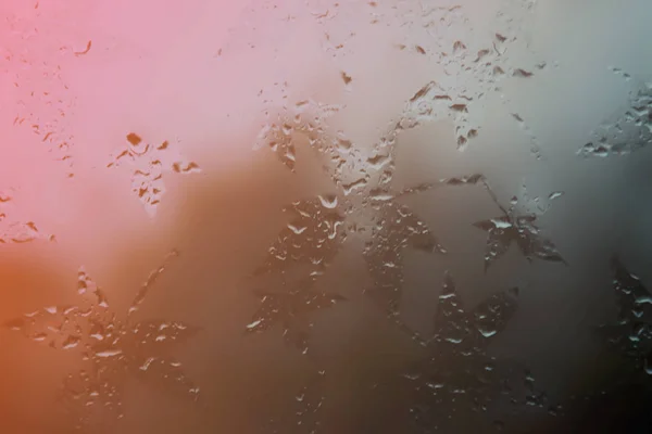 Відбитки Осіннього Листя Туманному Склі Краплями Дощу — стокове фото