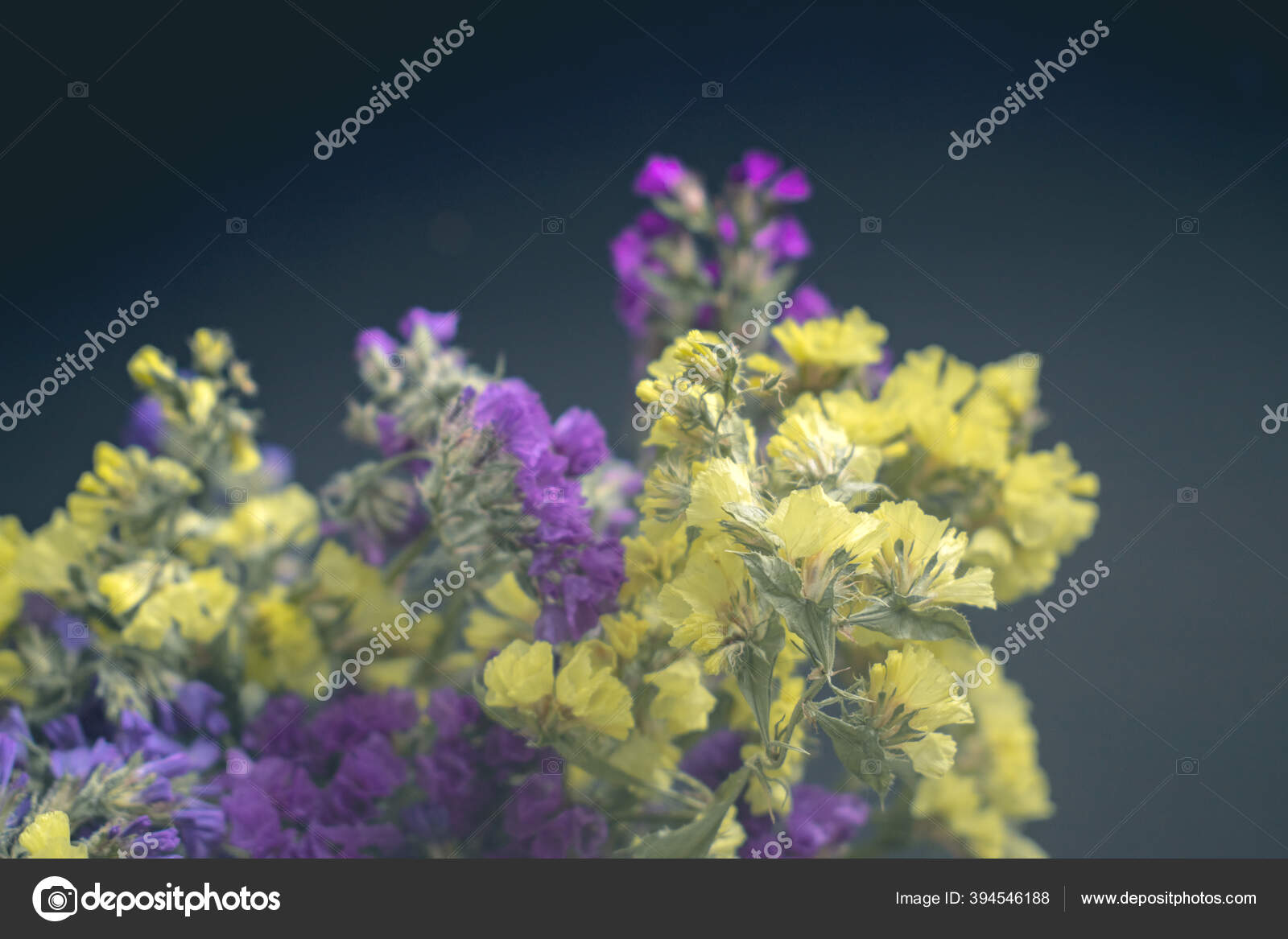 Bouquet Yellow Purple Small Flowers Dark Background Bouquet Statice Sea Stock Photo Image By C Natalylad 394546188