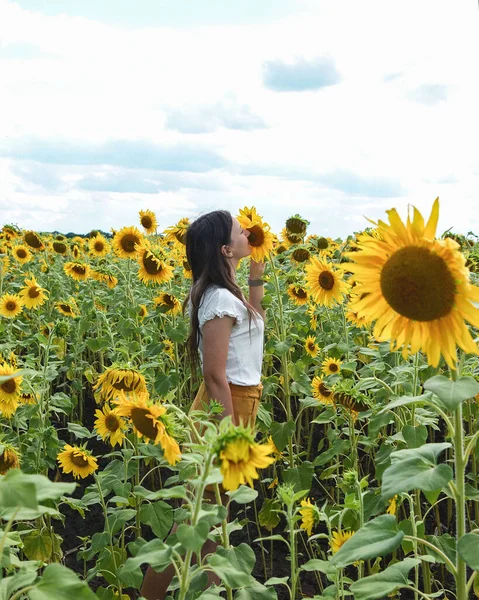 Дівчина Соняшниковому Полі Влітку — стокове фото