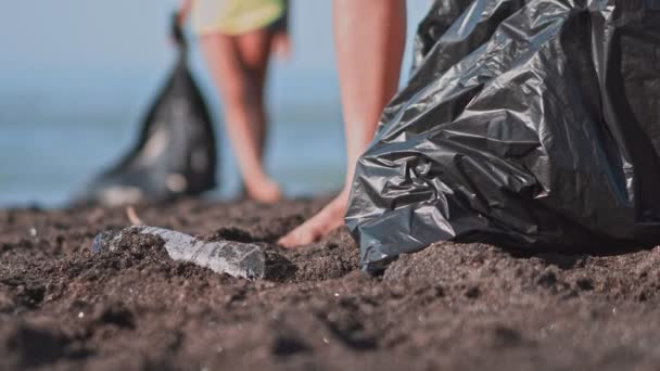En gruppe frivillige som rydder opp på stranda. Den frivillige løfter og kaster en plastflaske i posen. Frivillig og resirkulerings-konseptet. Miljøbevissthetsbegrepet kopieringsrom – stockvideo