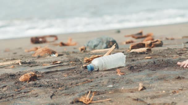 Primer plano de voluntario recogiendo botella de plástico en la playa de arena negra en bolsa de plástico negro. Voluntario limpiando la playa. Sensibilización ambiental y voluntariado, concepto de reciclaje . — Vídeos de Stock