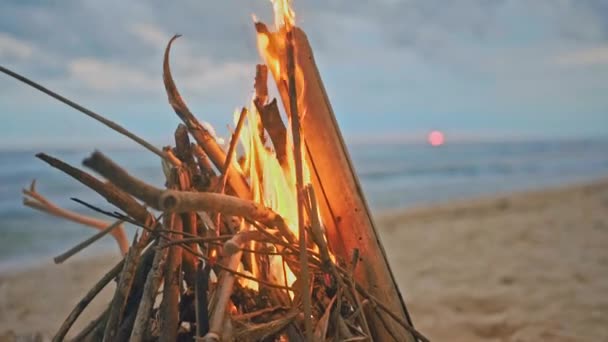 夏の夕方の間にビーチの上で燃える焚き火。背景として自然の中の焚き火。白い砂の海岸上にある木材を燃焼夕暮れ時。選択と集中。海の水の端の近くの熱帯のロマンチックな風景. — ストック動画