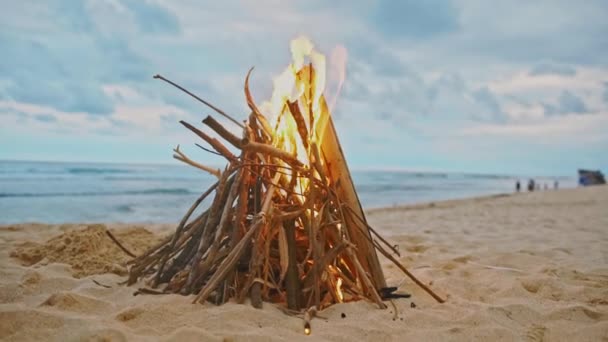 Blazing Kampvuur Het Strand Tijdens Zomeravond Vreugdevuur Natuur Als Achtergrond — Stockvideo