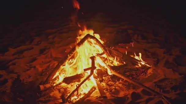 Płonące ognisko na plaży w letni wieczór. Ognisko w przyrodzie jako tło. Spalanie drewna na biały brzeg piasek o zachodzie słońca. Tropikalne romantycznego krajobrazu w pobliżu krawędzi wody morza. — Wideo stockowe