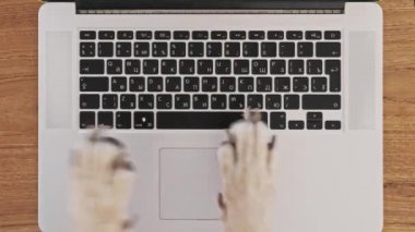 Üst görünüm köpek pençeleri dizüstü bilgisayarda touchpad kullanarak ve klavye yeni posta veya mesaj sohbet veya sosyal besleme hızlı bir şekilde mesajlaşma. Ofiste komik konsept veya serbest çalışma, evcil hayvan hayatı ve rutin işyerinde