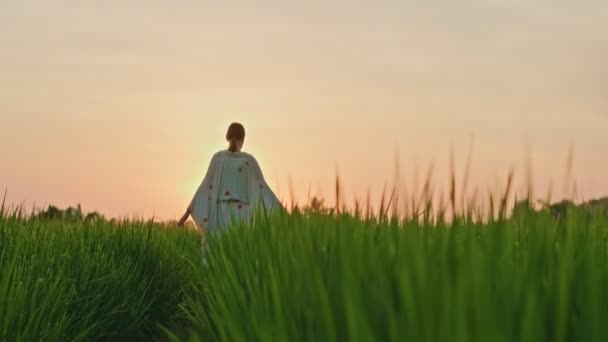 Mladá žena v japonském kimonu vejde do zeleného rýžového pole proti růžovému západu slunce — Stock video