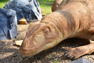 Belgorod, Rusya, 04.08.2018: Dinozorlar Dinopark