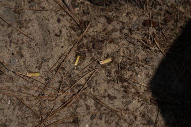 Kum üzerinde sigara izmaritleri