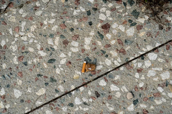 Discarded Cigarette on a Cobblestone Sidewalk with a Stone Nearby