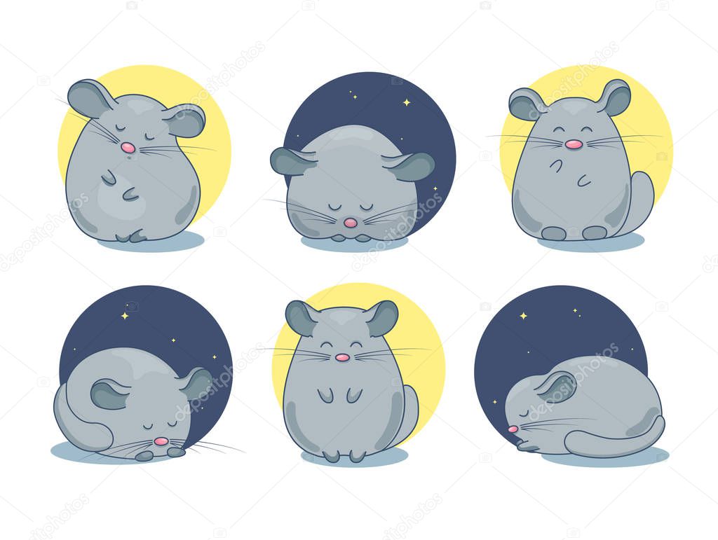 Set of chinchilla pet drawings. Sleepy small animal, dozing and awake, smiling. Cute cartoon line art with details. Vector illustration isolated on white.