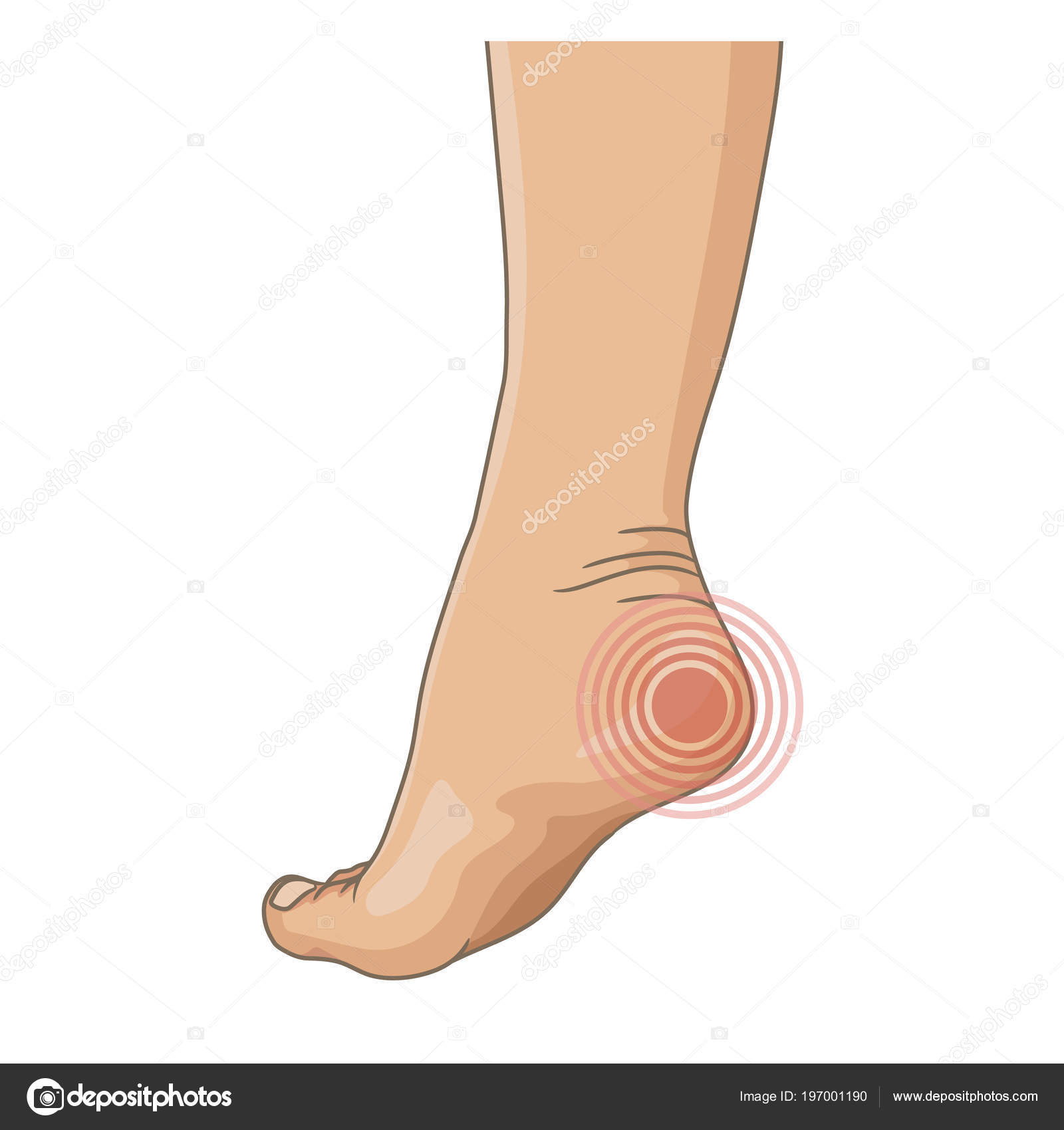Female Legs Barefoot Side View Vector Illustration Hand Drawn Cartoon Stock  Vector by ©Beanika 197001190