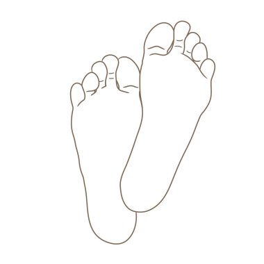 Kadın ya da erkek ayak tabanları, yalınayak, alt görünümü. İllüstrasyon vektör, beyaz, siyah ve beyaz kontur üzerinde izole çizilmiş karikatür tarzı el