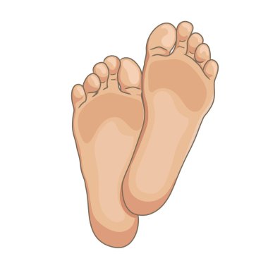 Kadın ya da erkek ayak tabanları, yalınayak, alt görünümü. İllüstrasyon vektör, beyaz izole çizilmiş karikatür tarzı el.
