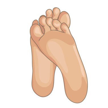 Female or male foot soles, barefoot, bottom view. Vector illustration, hand drawn cartoon style isolated on white. clipart