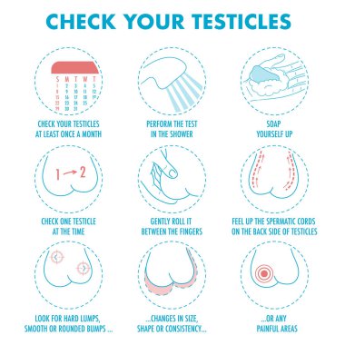 Testis kendini sınav. Testis kanseri belirtileri ve aylık muayene infographics. Vektör Icon set. Ben illüstrasyon el ilanı, broşür, web kaynakları, sağlık merkezleri için