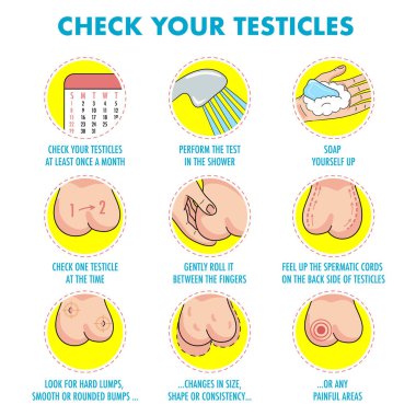 Testis kendini sınav. Testis kanseri belirtileri ve aylık muayene infographics. Vektör Icon set. Ben illüstrasyon el ilanı, broşür, web kaynakları, sağlık merkezleri için