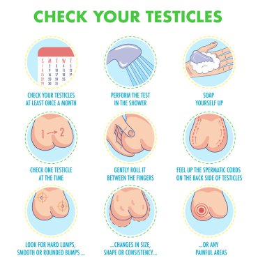 Testis kendini sınav. Testis kanseri belirtileri ve aylık muayene infographics. Vektör Icon set. Ben illüstrasyon el ilanı, broşür, web kaynakları, sağlık merkezleri için