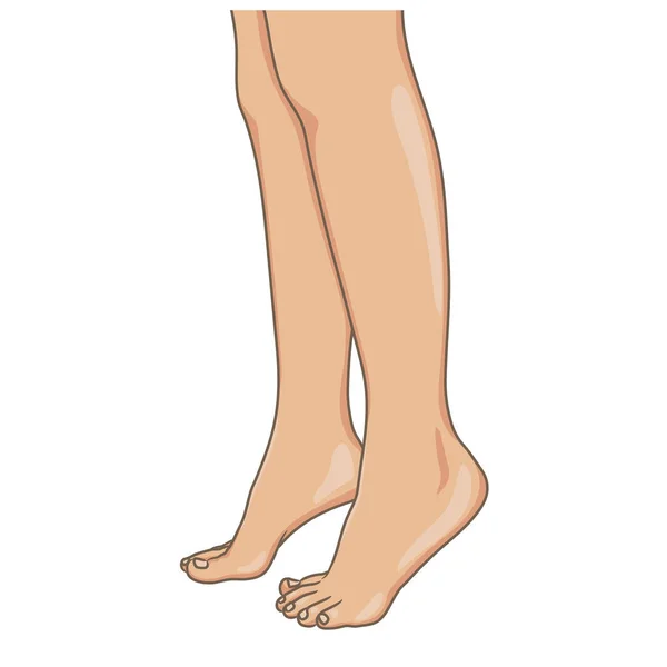 Patas Femeninas Descalzas Vista Lateral Ilustración Vectorial Dibujado Mano Estilo — Vector de stock