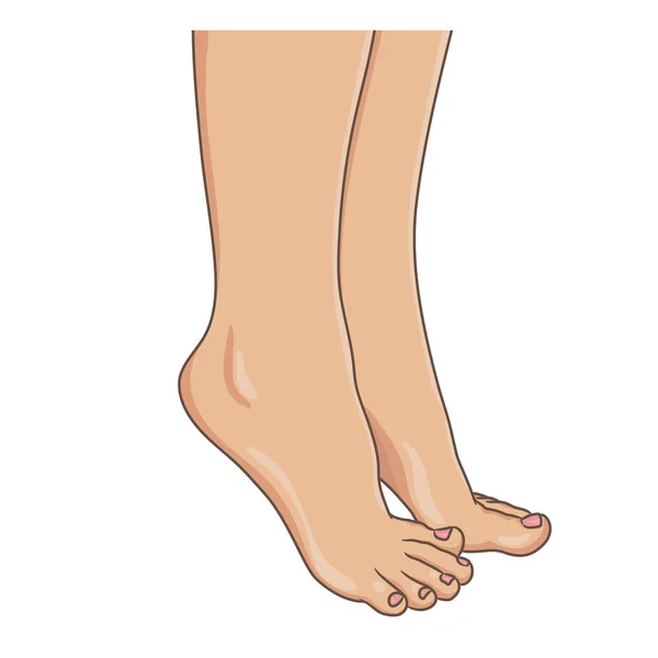 Jambes Féminines Pieds Nus Vue Latérale Illustration Vectorielle Dessin Animé — Image vectorielle