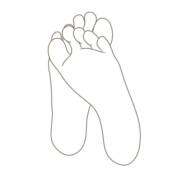 女性または男性の足裏 ベクトル イラスト 手の描かれた漫画スタイルの白 黒と白の輪郭線の分離 — ストックベクタ
