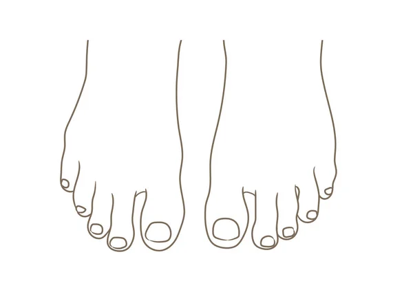 女性或男性脚鞋底 顶部视图 修脚趾甲 矢量插图 手绘卡通风格的白色 黑白轮廓分离 — 图库矢量图片