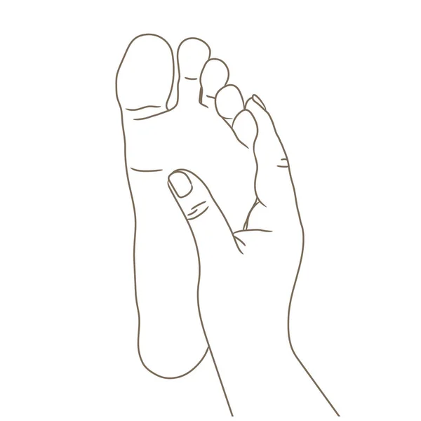 Kvinnliga Eller Manliga Fot Ensam Barfota Underifrån Vektor Illustration Hand — Stock vektor