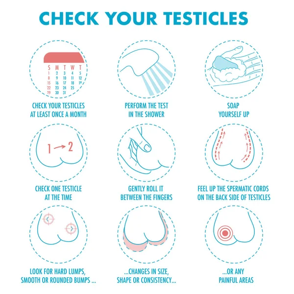 Testis kendini sınav. Testis kanseri belirtileri ve aylık muayene infographics. Vektör Icon set. Ben illüstrasyon el ilanı, broşür, web kaynakları, sağlık merkezleri için
