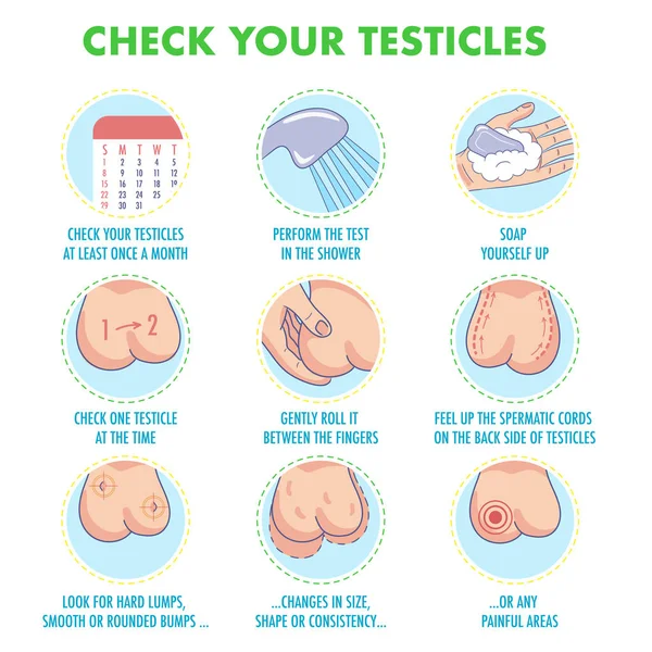 Testis kendini sınav. Testis kanseri belirtileri ve aylık muayene infographics. Vektör Icon set. Ben illüstrasyon el ilanı, broşür, web kaynakları, sağlık merkezleri için