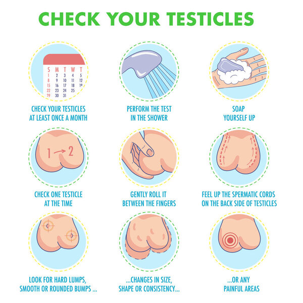 Testicles self exam. Testicle cancer symptoms and monthly examination infographics. Vector icon set.I Illustration for flyers, brochures, web resources, health centers