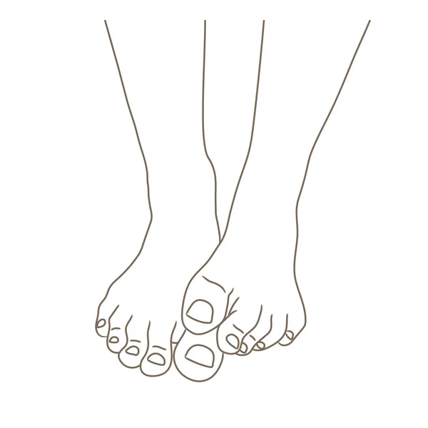 Kvinnliga Fötter Barfota Framifrån Ena Foten Liggande Den Andra Friska — Stock vektor