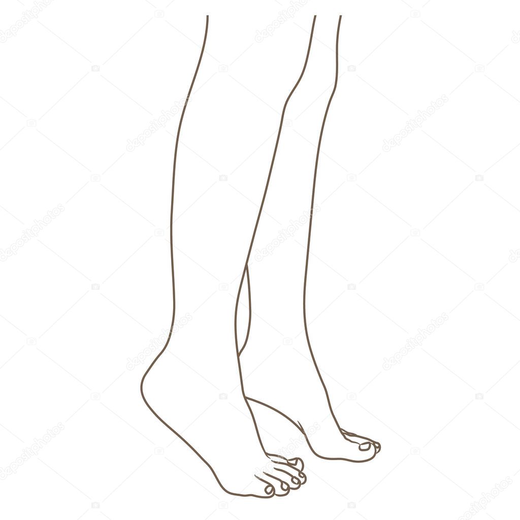 Female legs barefoot, side view. Vector illustration, hand drawn cartoon style isolated on white, black and white contour