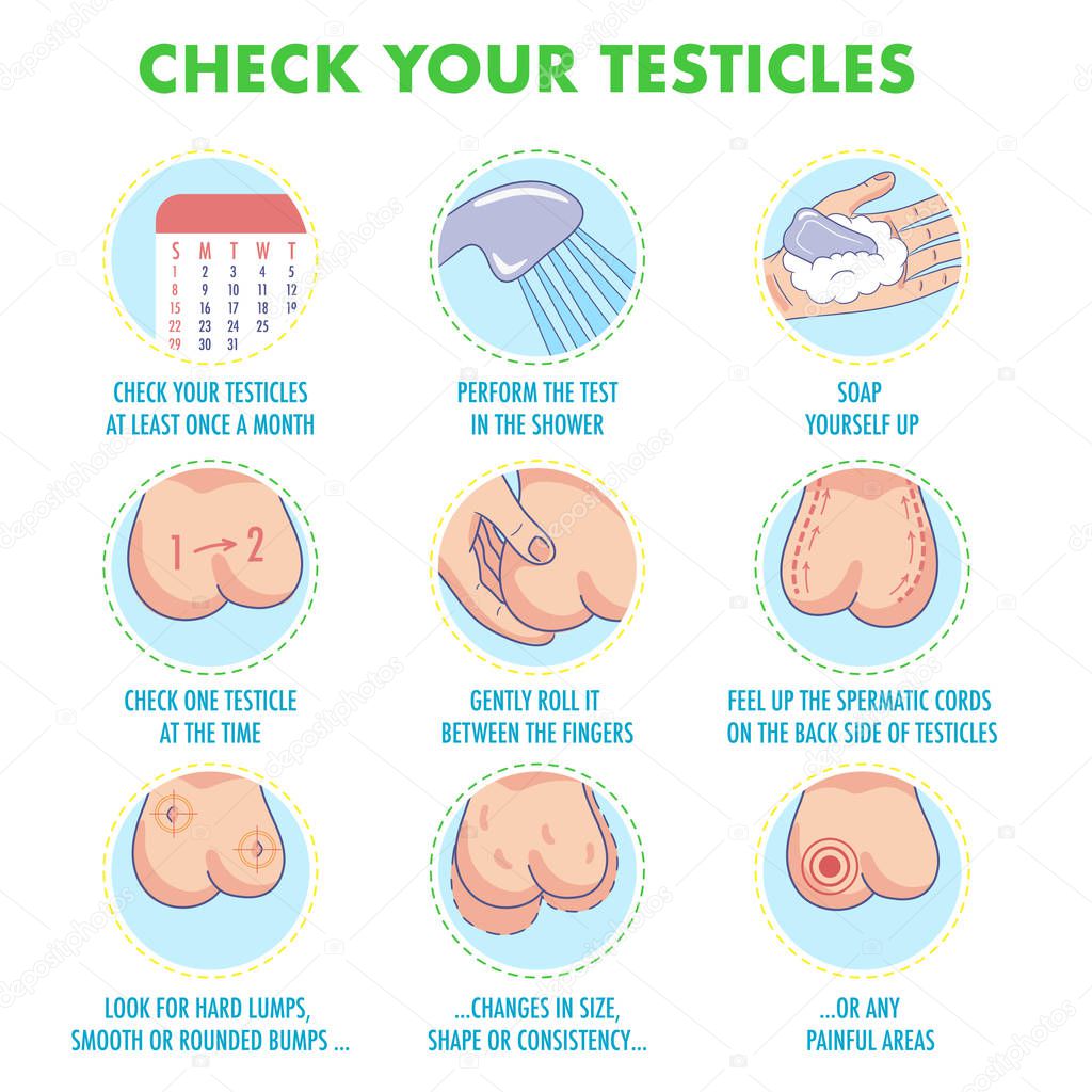 Testicles self exam. Testicle cancer symptoms and monthly examination infographics. Vector icon set.I Illustration for flyers, brochures, web resources, health centers