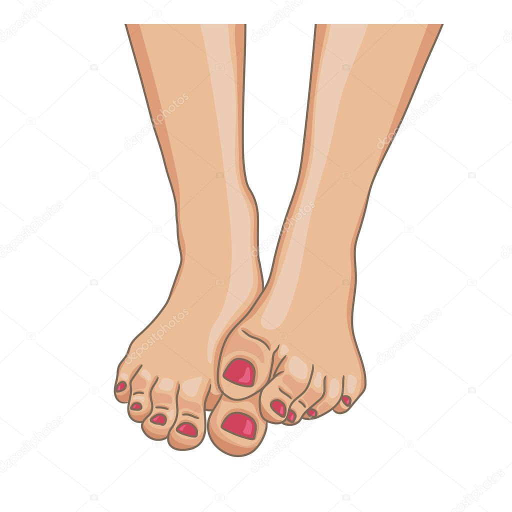 Female feet, barefoot, front view. One foot lying on the other. Toenails with pedicure. Vector illustration, hand drawn cartoon style isolated on white.