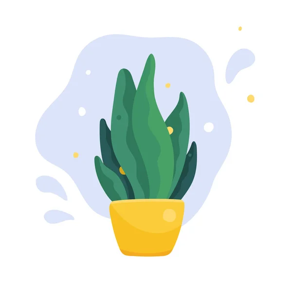 Planta Doméstica Maceta Lengua Suegra Sansevieria Maceta Amarilla Estilo Moderno — Vector de stock