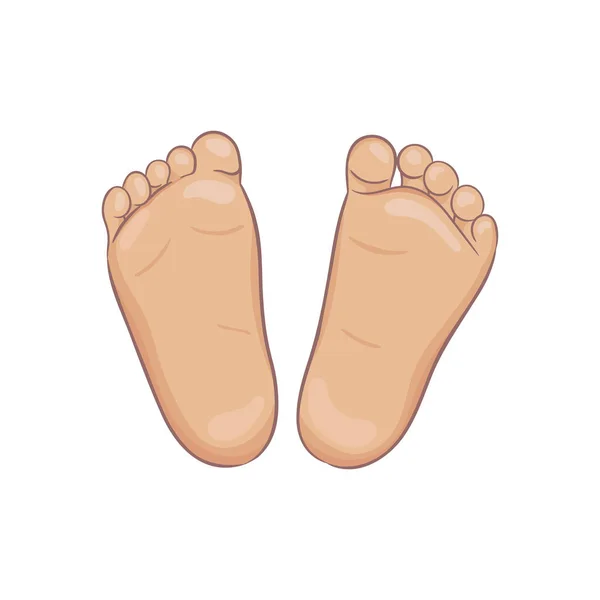 Pair of newborn baby foot soles, bottom view. Tiny plump feet with cute heel and toes — Stock Vector